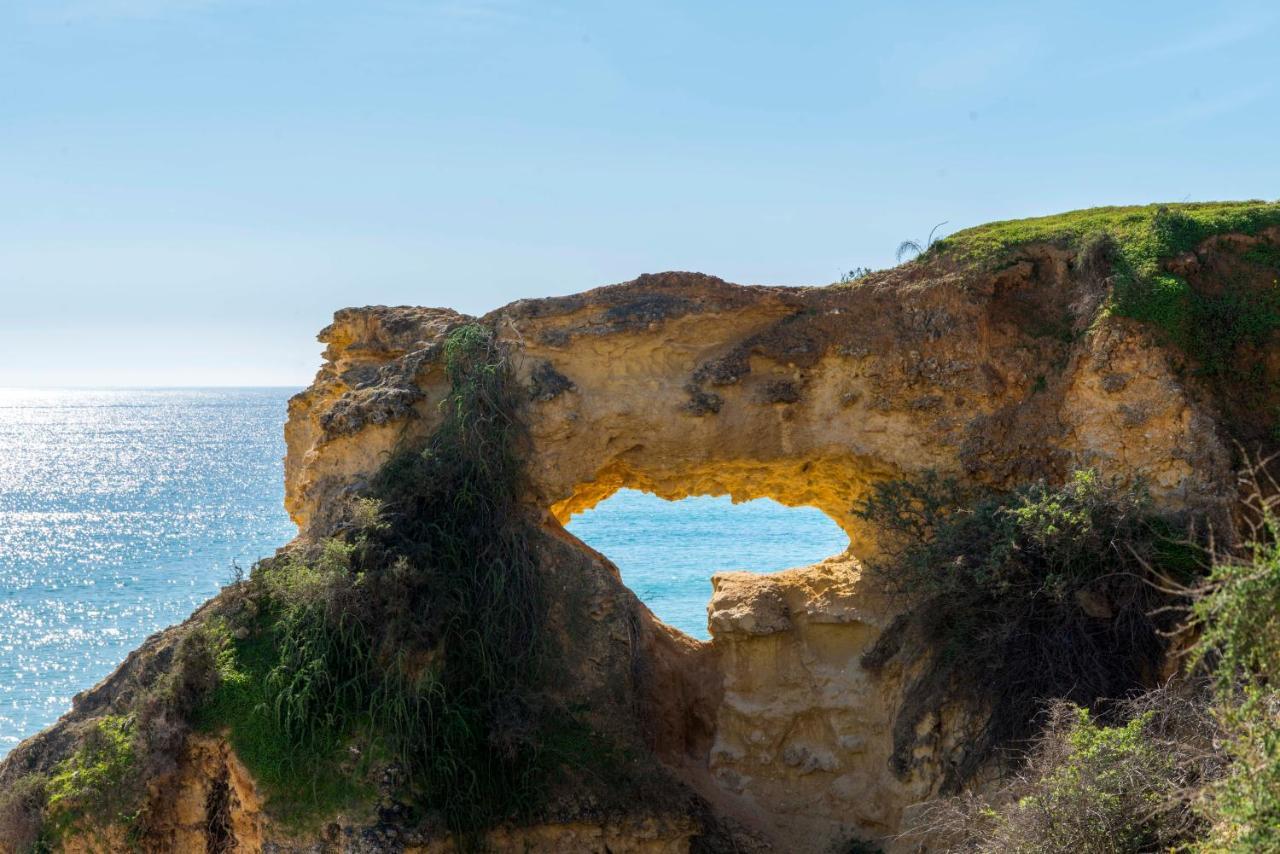 Casa Das Conchas Armação de Pêra Exteriör bild